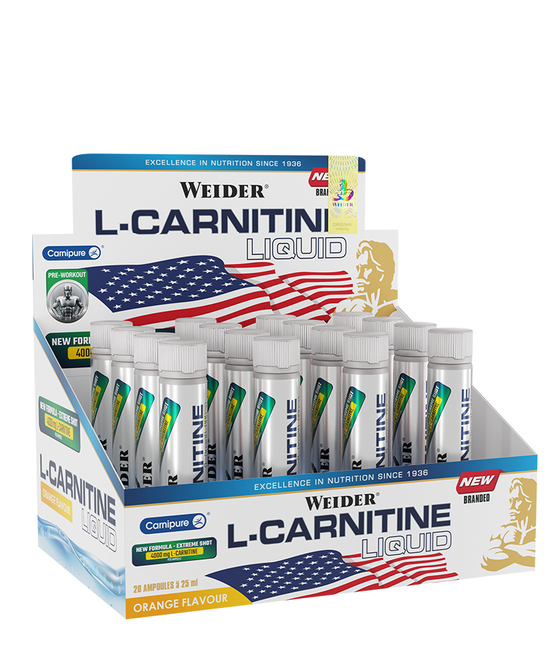 L-Carnitine Liquid 4000 Mg 20 Ampul
