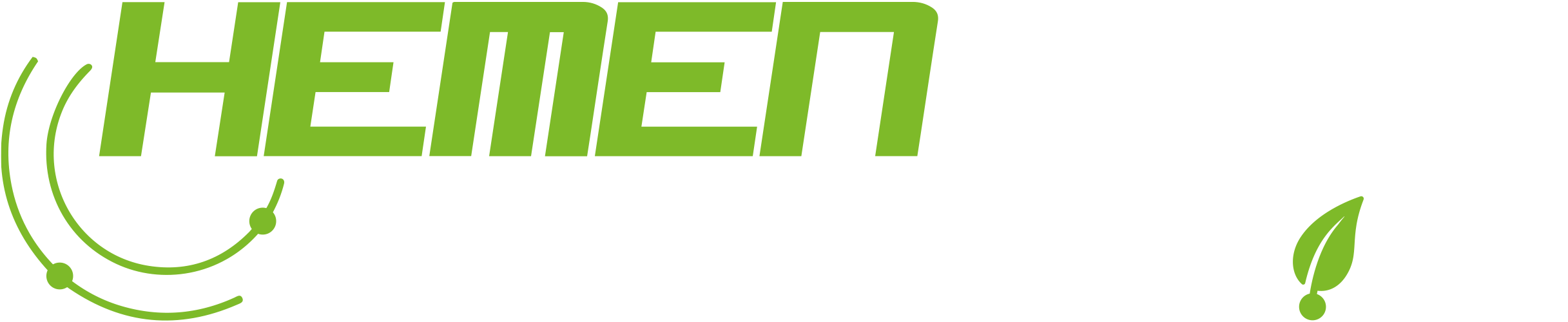 hemenprotein.com